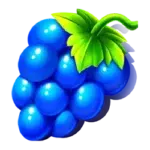 Symbol Grapes in slot Fruit Party